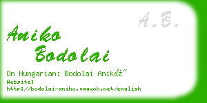 aniko bodolai business card